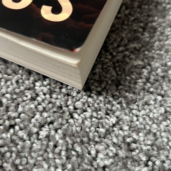 Set of 2 books by Tik Tok author Rebecca Yarros Wilder and In the Likely Event - Picture 5 of 6